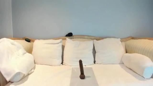 Image 10 of eatmygingersnapps Stream on Chaturbate on 10 days ago