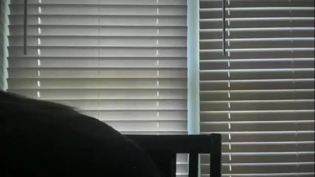 Image 11 of ebony8ivory Stream on Chaturbate on 1 month ago