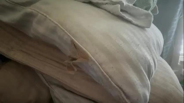 Image 3 of ebony8ivory Stream on Chaturbate on 7 days ago