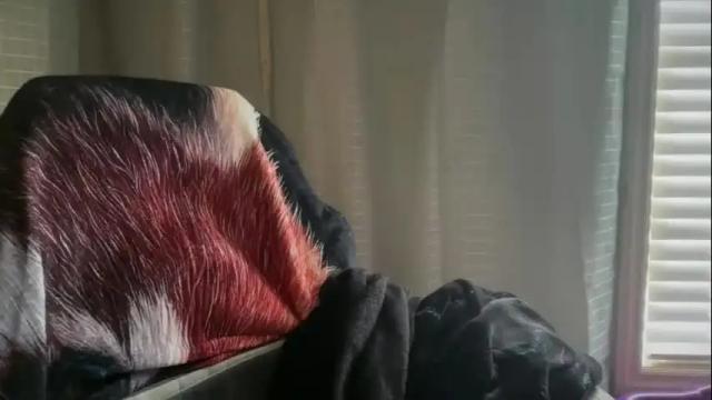 Image 11 of ebony8ivory Stream on Chaturbate on 5 days ago