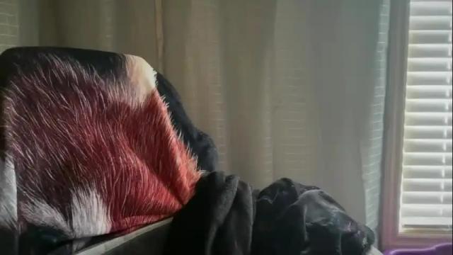 Image 12 of ebony8ivory Stream on Chaturbate on 5 days ago