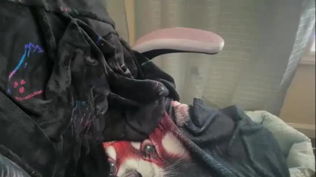 Image 11 of ebony8ivory Stream on Chaturbate on 1 day ago