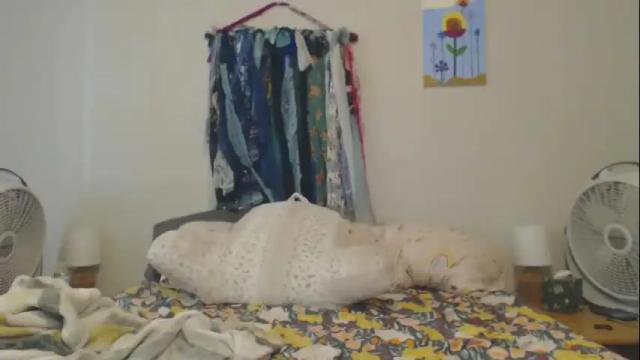Image 4 of echosol17 Stream on Chaturbate on 4 days ago
