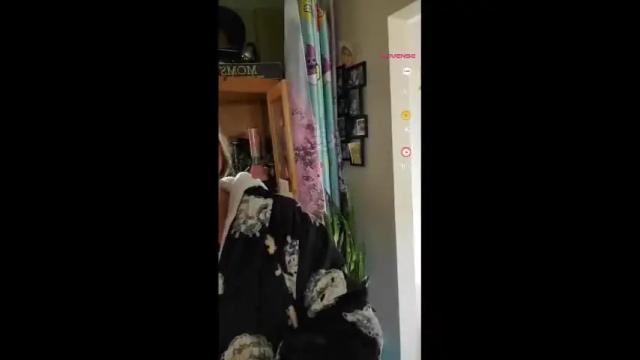 Image 2 of edgeofinsanity13 Stream on Chaturbate on 14 months ago