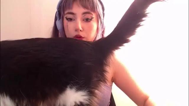 Thumbnail 3, ediefris's Stream at Chaturbate, 10 days ago