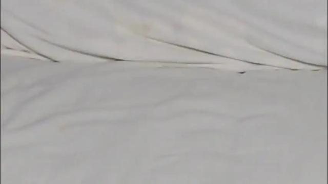 Image 6 of eelena4kiss Stream on Chaturbate on 24 days ago