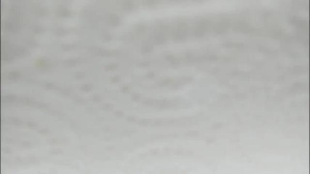 Thumbnail 1, effiemur's Stream at Chaturbate, 3 days ago