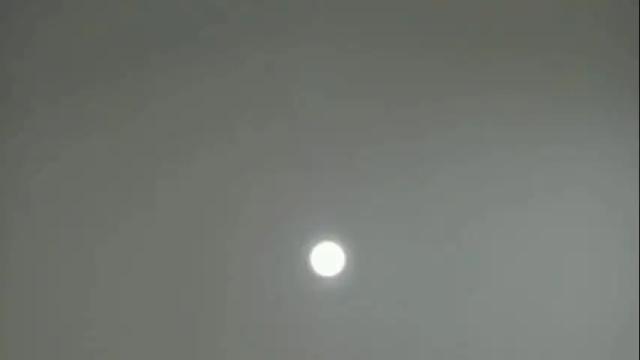 Image 2 of elaforx Stream on Chaturbate on 1 month ago
