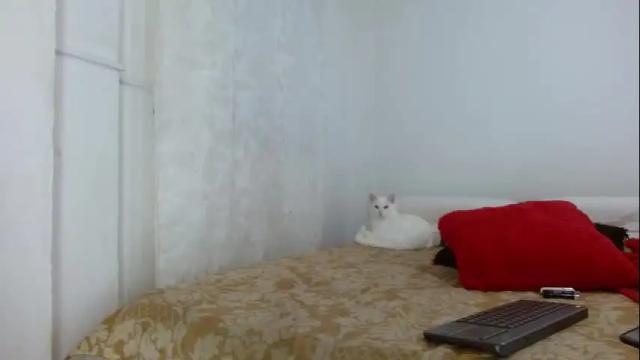 Image 2 of elektratattoo Stream on Chaturbate on 3 months ago