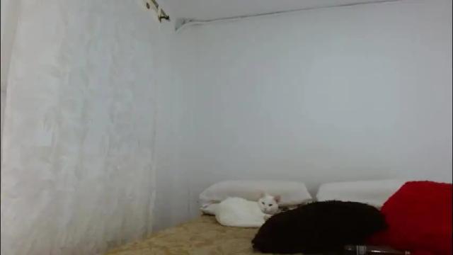 Thumbnail 2, elektratattoo's Stream at Chaturbate, 1 month ago
