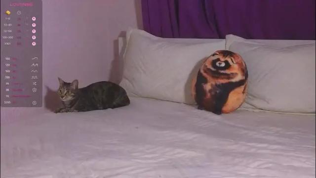 Image 6 of elisbates Stream on Chaturbate on 3 months ago