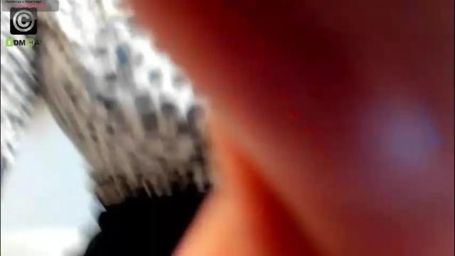 Thumbnail 1, elissavibe's Stream at Chaturbate, 2 months ago