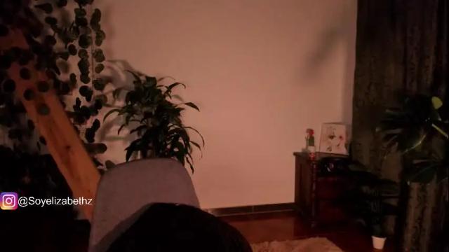 Image 3 of elizabethz Stream on Chaturbate on 1 month ago