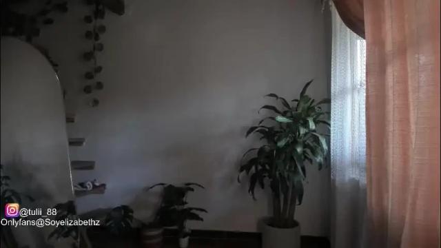 Image 4 of elizabethz Stream on Chaturbate on 27 days ago