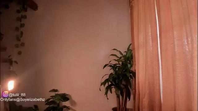 Image 11 of elizabethz Stream on Chaturbate on 15 days ago