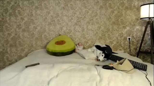 Thumbnail 1, ellamilla's Stream at Chaturbate, 5 days ago