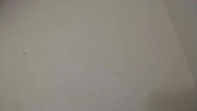 Thumbnail 3, ellie_solee's Stream at Chaturbate, 18 months ago