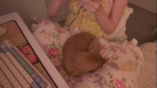 Image 6 of elslove Stream on Chaturbate on 4 months ago