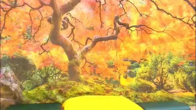 Thumbnail 1, ember_starleena's Stream at Chaturbate, 1 month ago