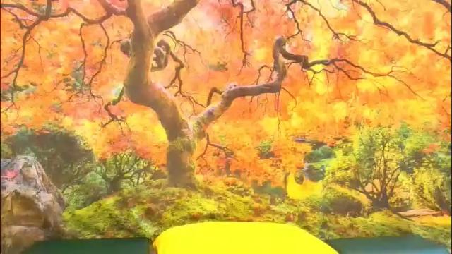 Thumbnail 2, ember_starleena's Stream at Chaturbate, 1 month ago