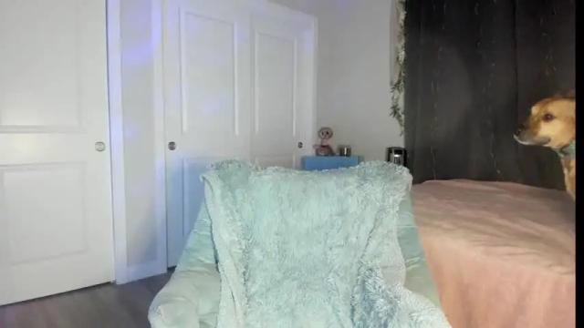 Thumbnail 3, emberpheonixxx's Stream at Chaturbate, 14 months ago