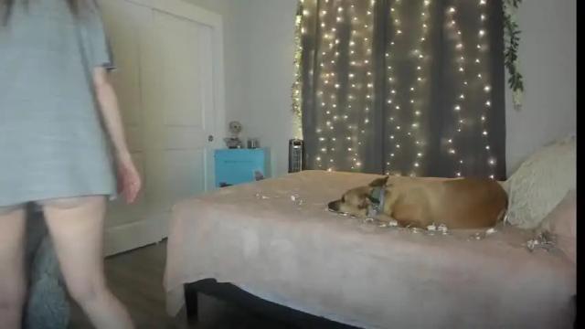 Image 11 of emberpheonixxx Stream on Chaturbate on 13 months ago
