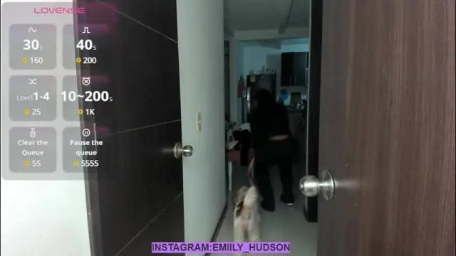 Image 12 of emily_huddson_ Stream on Chaturbate on 3 months ago