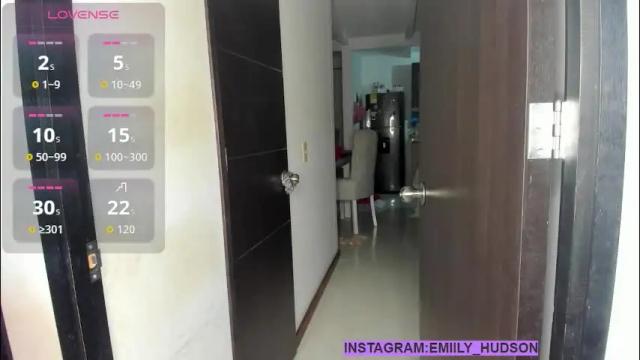 Image 11 of emily_huddson_ Stream on Chaturbate on 1 month ago