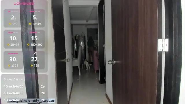 Image 10 of emily_huddson_ Stream on Chaturbate on 4 days ago