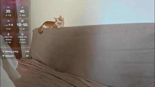 Image 3 of emily_jayreal Stream on Chaturbate on 1 month ago