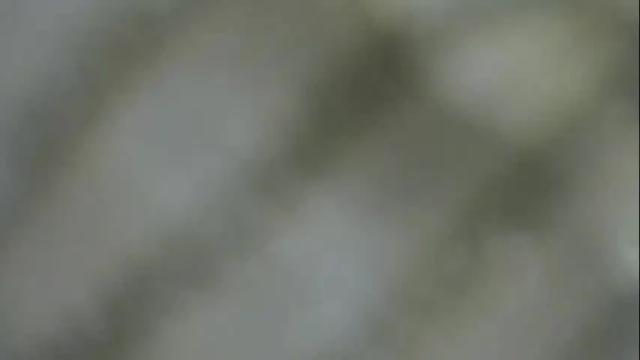 Image 8 of emily_sexy69 Stream on Chaturbate on 14 days ago