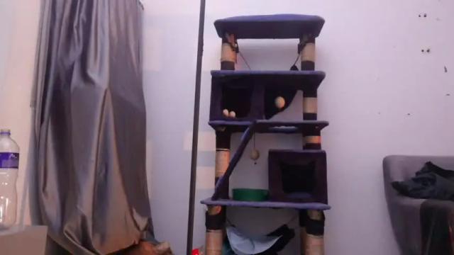 Image 11 of emma_johnson_ Stream on Chaturbate on 10 days ago