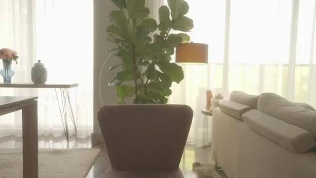 Image 4 of emma_lu1 Stream on Chaturbate on 26 days ago