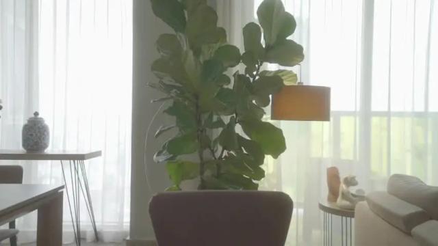 Image 12 of emma_lu1 Stream on Chaturbate on 9 days ago