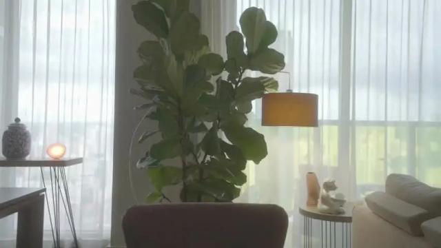 Thumbnail 1, emma_lu1's Stream at Chaturbate, 3 months ago