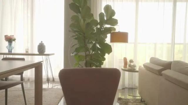Image 3 of emma_lu1 Stream on Chaturbate on 3 months ago