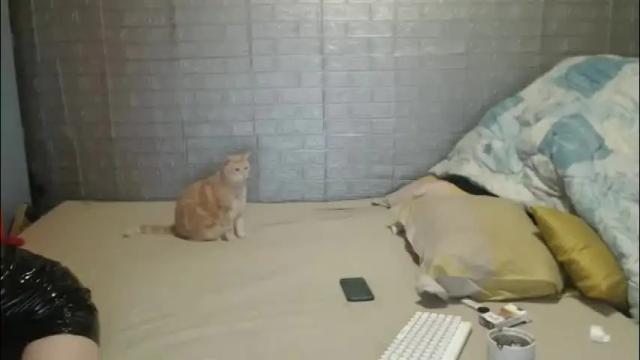 Image 8 of emmily000 Stream on Chaturbate on 2 months ago