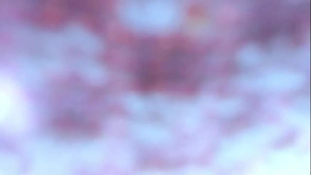 Image 12 of emysilver Stream on Chaturbate on 1 month ago