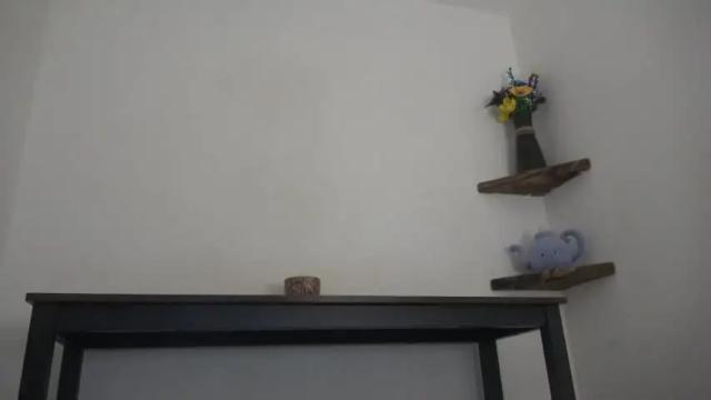 Image 3 of english_rose__ Stream on Chaturbate on 9 days ago