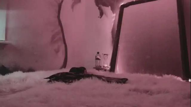 Image 8 of enticingenigma Stream on Chaturbate on 1 month ago