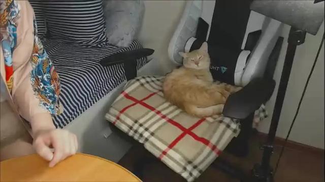 Image 2 of erin_and_johnny Stream on Chaturbate on 9 days ago