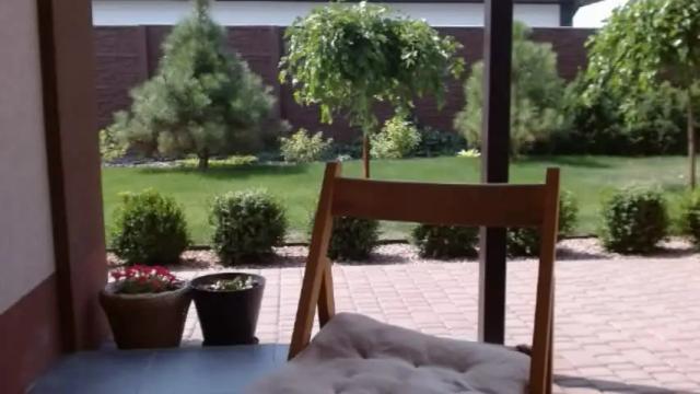 Image 11 of erotic_vibe Stream on Chaturbate on 7 days ago