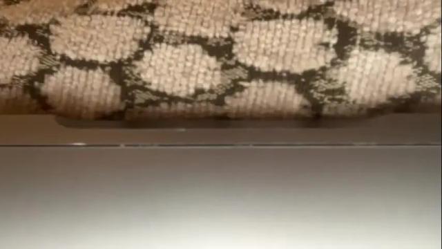 Image 11 of essenalaurent Stream on Chaturbate on 7 months ago