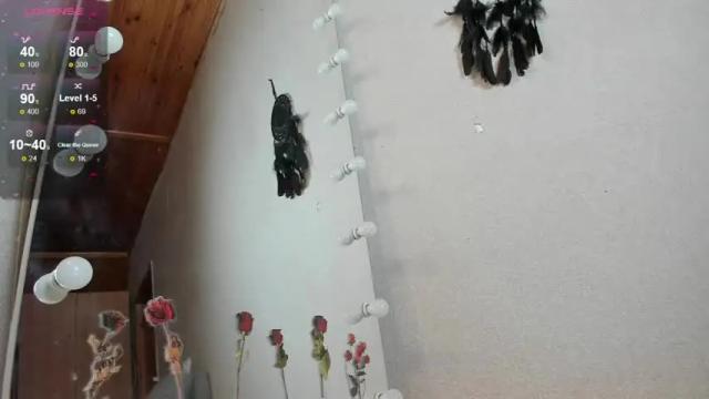 Image 7 of euphoria_life Stream on Chaturbate on 27 days ago