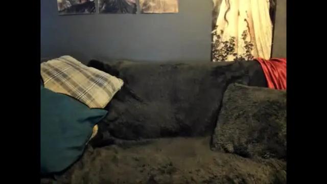 Image 4 of eva_camile Stream on Chaturbate on 1 month ago