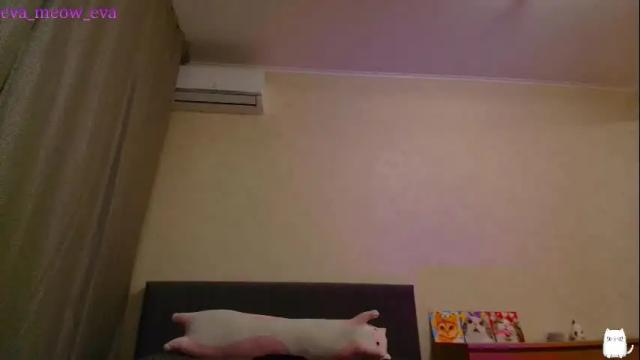 Image 8 of eva_meow_eva Stream on Chaturbate on 3 months ago