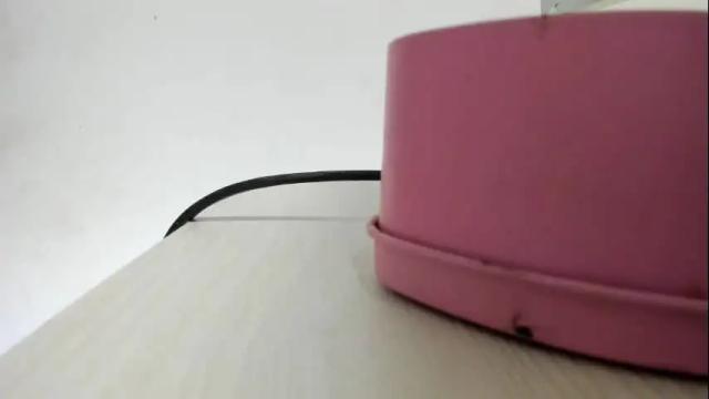 Image 11 of evangely15_ Stream on Chaturbate on 2 months ago