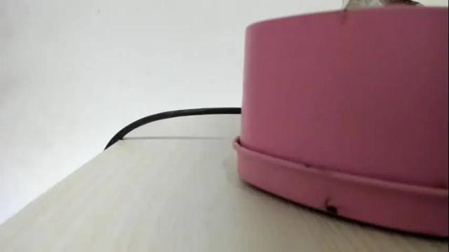 Image 12 of evangely15_ Stream on Chaturbate on 2 months ago
