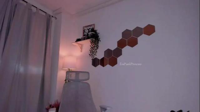 Image 8 of evapunkprincess Stream on Chaturbate on 1 month ago