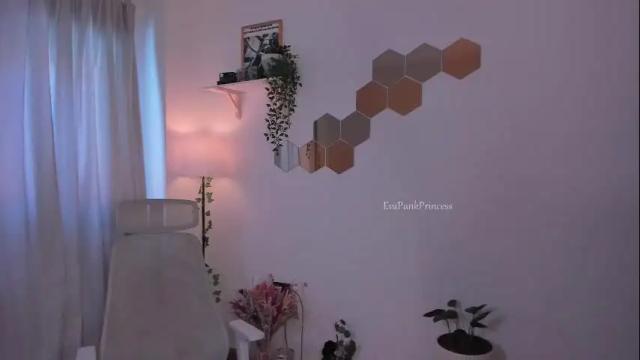 Image 3 of evapunkprincess Stream on Chaturbate on 9 days ago